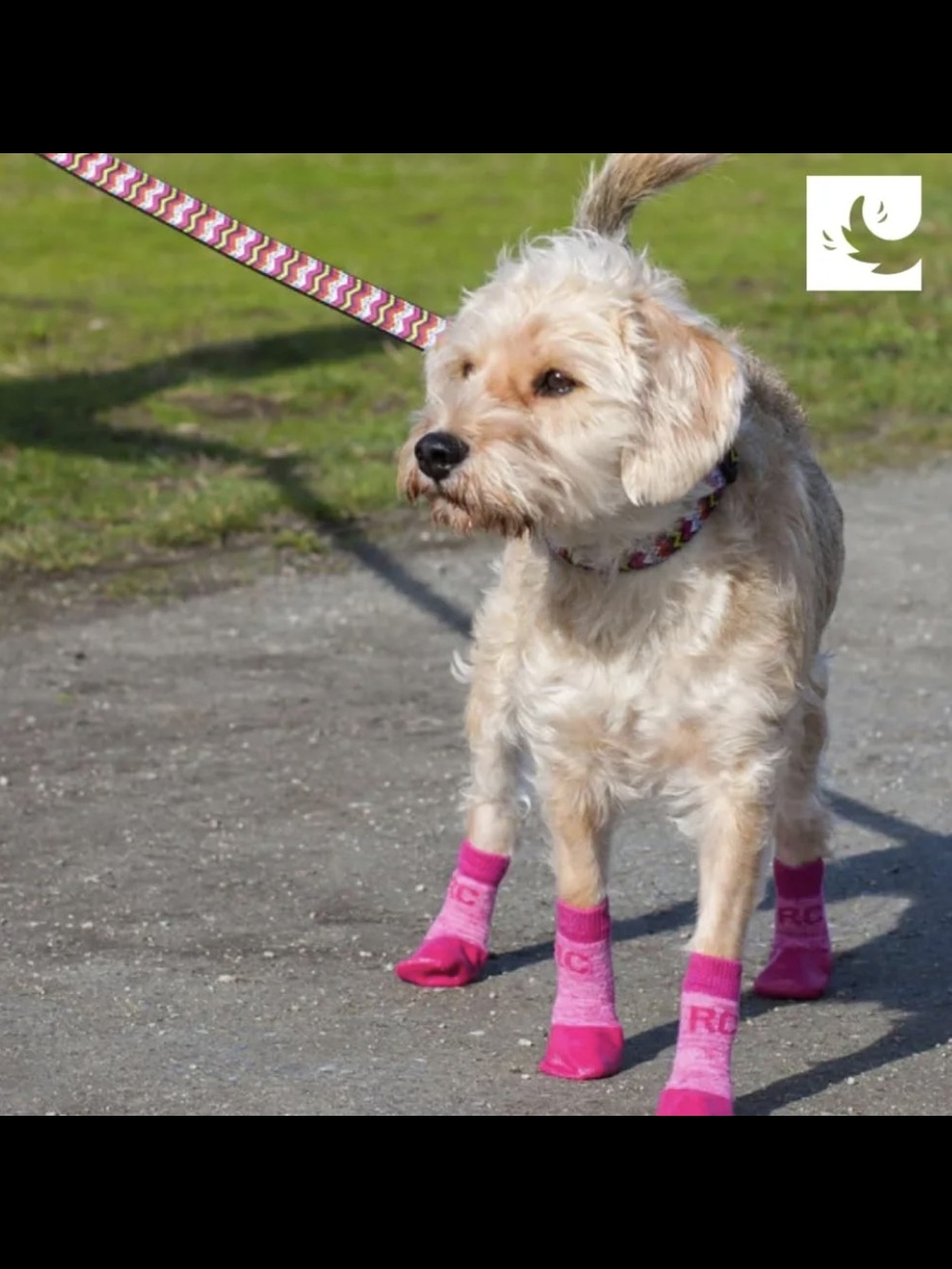 Pink Waterproof Dog Boots - Non-Slip Paw Protectors